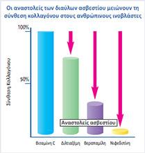 Οι Αναστολείς Ασβεστίου Μειώνουν την Κατασκευή Κολλαγόνου στα Κύτταρα των Τοιχωμάτων των Αγγείων