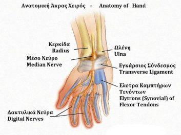 Σύνδρομο καρπιαίου σωλήνα.