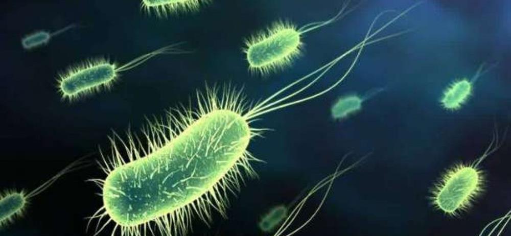 Τα προβιοτικά και πρεβιοτικά στη νευροψυχολογία και 6 εκπληκτικά πράγματα για τα μικρόβια του εντέρου