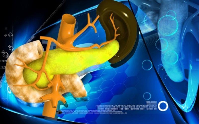 Σπληνομεγαλία: Μάθετε τα 7 προειδοποιητικά σημάδια και προστατευτείτε