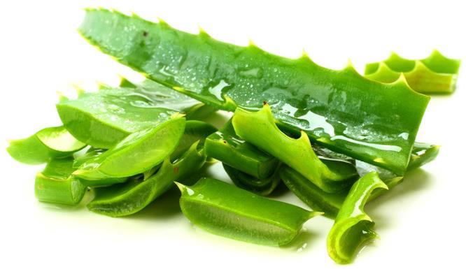 Aloe Vera το ``Θαύμα της Φύσης,Mύθος η Πραγματικότητα``